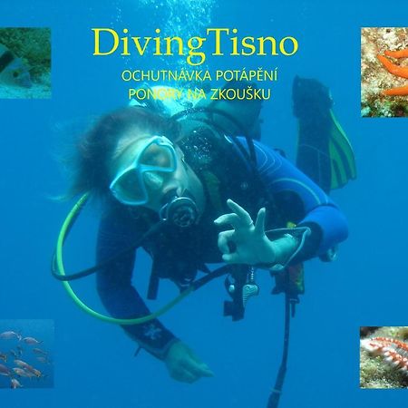 Diving Tisno Acomodação com café da manhã Exterior foto